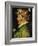 Spring, 1573-Giuseppe Arcimboldo-Framed Giclee Print