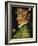 Spring, 1573-Giuseppe Arcimboldo-Framed Giclee Print