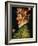 Spring, 1573-Giuseppe Arcimboldo-Framed Giclee Print