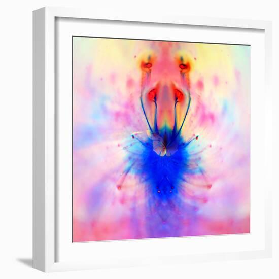 Spring 2-Ursula Abresch-Framed Photographic Print