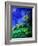 Spring 459050-Pol Ledent-Framed Art Print