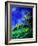 Spring 459050-Pol Ledent-Framed Art Print