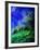 Spring 459050-Pol Ledent-Framed Art Print