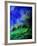 Spring 459050-Pol Ledent-Framed Art Print