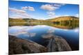 Photographic Print