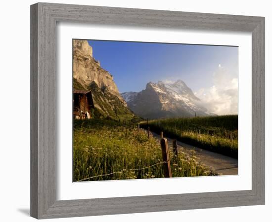 Spring Alpine Flower Meadow and Mountains, Grindelwald, Bern, Switzerland, Europe-Richardson Peter-Framed Photographic Print