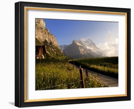 Spring Alpine Flower Meadow and Mountains, Grindelwald, Bern, Switzerland, Europe-Richardson Peter-Framed Photographic Print