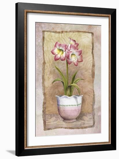 Spring Amaryllis-Abby White-Framed Art Print