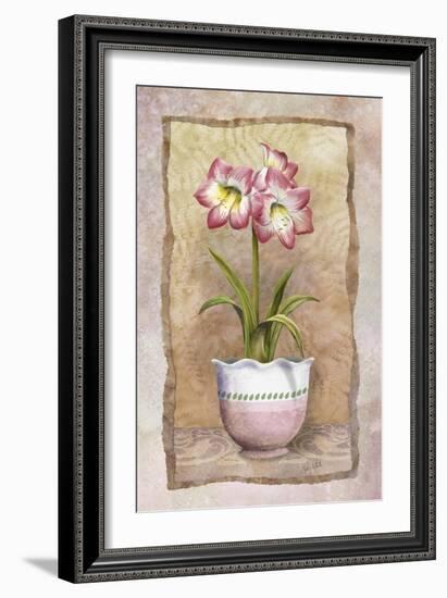 Spring Amaryllis-Abby White-Framed Art Print