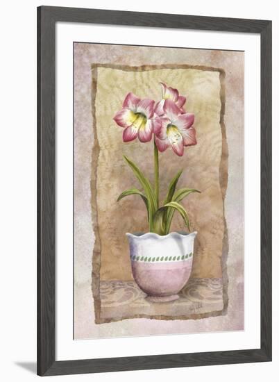 Spring Amaryllis-Abby White-Framed Art Print