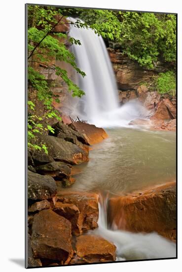 Spring at Douglas Falls-Michael Blanchette-Mounted Photographic Print