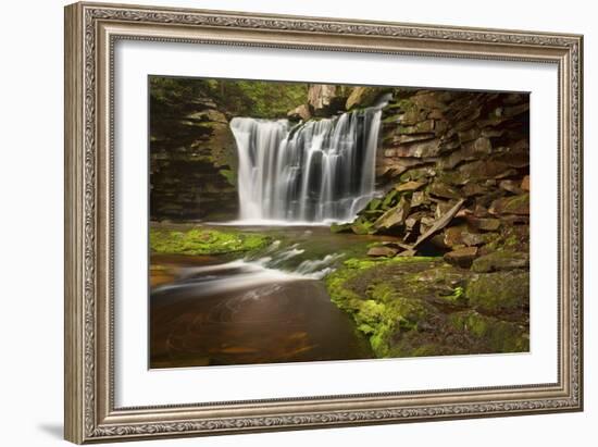 Spring at Elakala Falls-Michael Blanchette-Framed Photographic Print