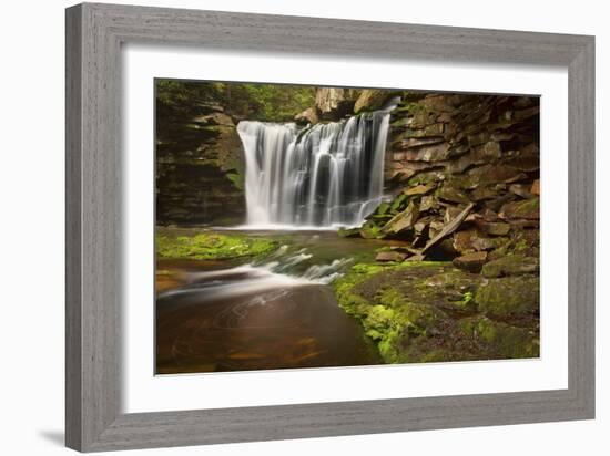 Spring at Elakala Falls-Michael Blanchette-Framed Photographic Print