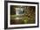 Spring at Elakala Falls-Michael Blanchette-Framed Photographic Print