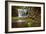 Spring at Elakala Falls-Michael Blanchette-Framed Photographic Print