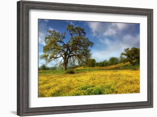 Spring at Shell Creek-Vincent James-Framed Photographic Print