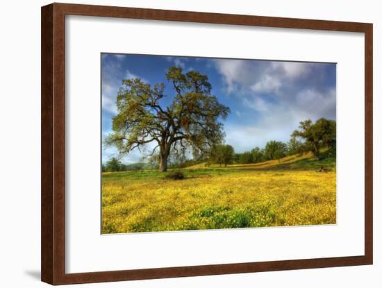 Spring at Shell Creek-Vincent James-Framed Photographic Print