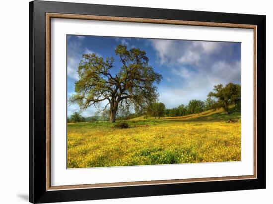 Spring at Shell Creek-Vincent James-Framed Photographic Print