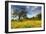 Spring at Shell Creek-Vincent James-Framed Photographic Print