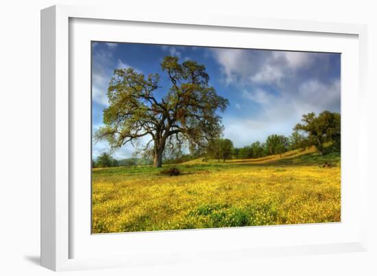 Spring at Shell Creek-Vincent James-Framed Photographic Print