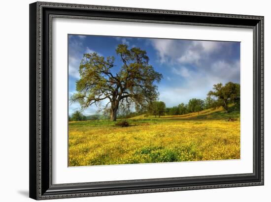 Spring at Shell Creek-Vincent James-Framed Photographic Print