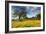 Spring at Shell Creek-Vincent James-Framed Photographic Print