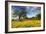 Spring at Shell Creek-Vincent James-Framed Photographic Print