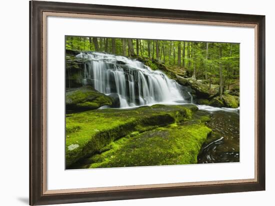 Spring At Tucker Brook-Michael Blanchette Photography-Framed Giclee Print