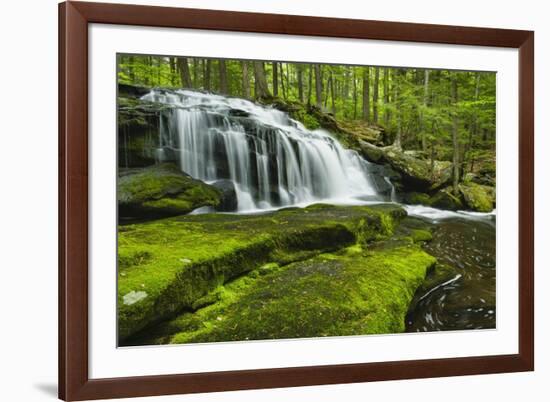 Spring At Tucker Brook-Michael Blanchette Photography-Framed Giclee Print