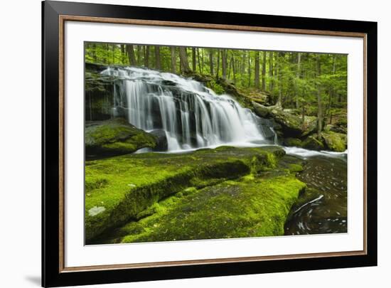 Spring At Tucker Brook-Michael Blanchette Photography-Framed Giclee Print