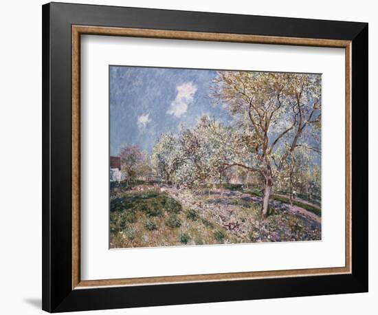 Spring at Veneux, 1880-Alfred Sisley-Framed Giclee Print