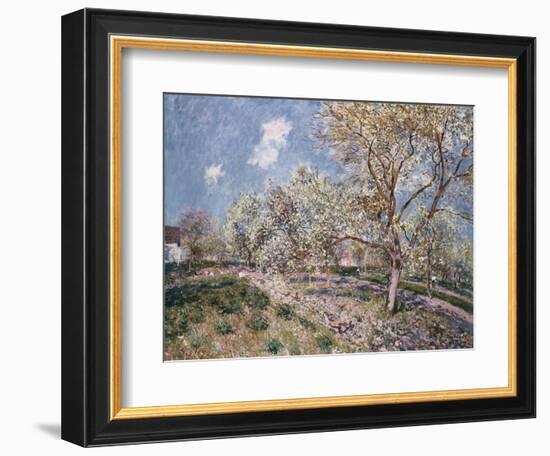 Spring at Veneux, 1880-Alfred Sisley-Framed Giclee Print