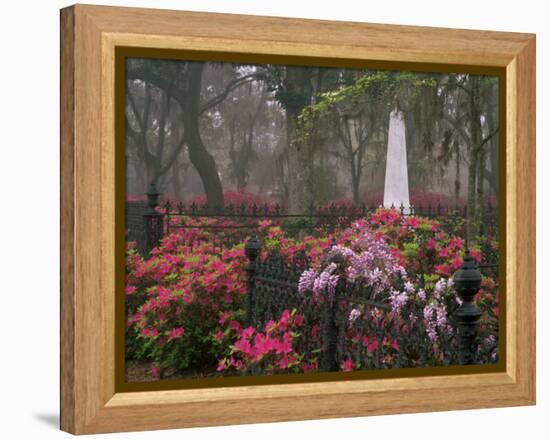 Spring Azaleas at Historic Bonaventure Cemetery, Savannah, Georgia-Joanne Wells-Framed Premier Image Canvas