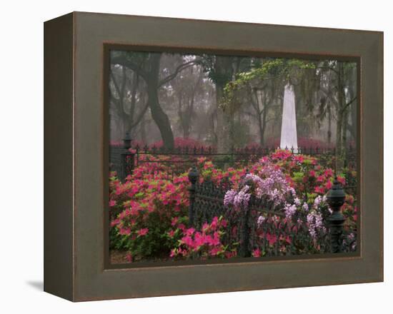 Spring Azaleas at Historic Bonaventure Cemetery, Savannah, Georgia-Joanne Wells-Framed Premier Image Canvas