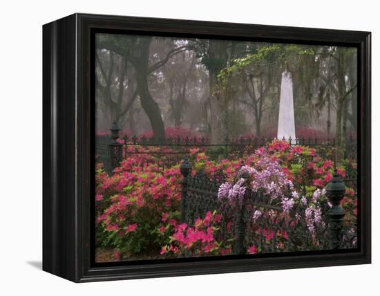 Spring Azaleas at Historic Bonaventure Cemetery, Savannah, Georgia-Joanne Wells-Framed Premier Image Canvas