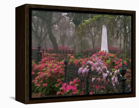 Spring Azaleas at Historic Bonaventure Cemetery, Savannah, Georgia-Joanne Wells-Framed Premier Image Canvas