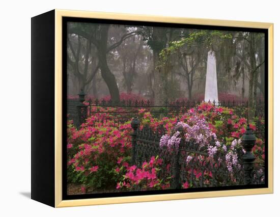 Spring Azaleas at Historic Bonaventure Cemetery, Savannah, Georgia-Joanne Wells-Framed Premier Image Canvas
