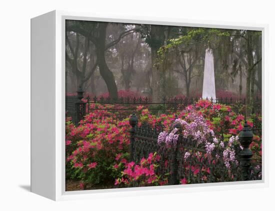 Spring Azaleas at Historic Bonaventure Cemetery, Savannah, Georgia-Joanne Wells-Framed Premier Image Canvas