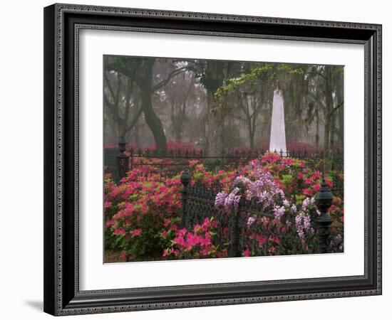 Spring Azaleas at Historic Bonaventure Cemetery, Savannah, Georgia-Joanne Wells-Framed Photographic Print