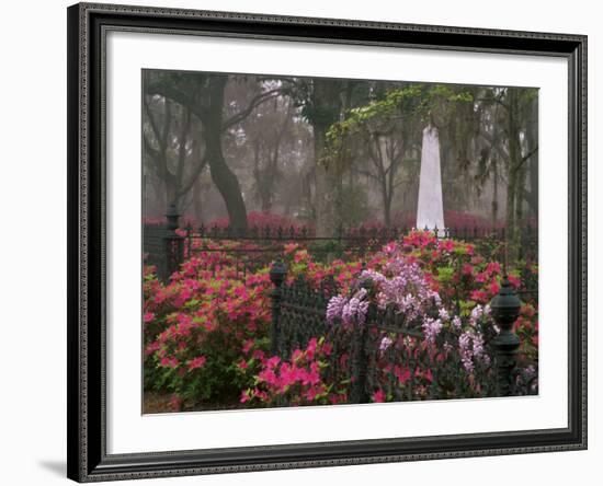 Spring Azaleas at Historic Bonaventure Cemetery, Savannah, Georgia-Joanne Wells-Framed Photographic Print