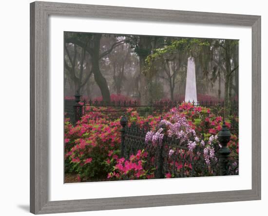 Spring Azaleas at Historic Bonaventure Cemetery, Savannah, Georgia-Joanne Wells-Framed Photographic Print