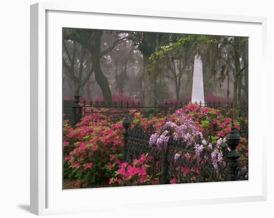 Spring Azaleas at Historic Bonaventure Cemetery, Savannah, Georgia-Joanne Wells-Framed Photographic Print