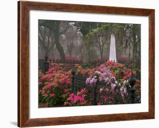 Spring Azaleas at Historic Bonaventure Cemetery, Savannah, Georgia-Joanne Wells-Framed Photographic Print