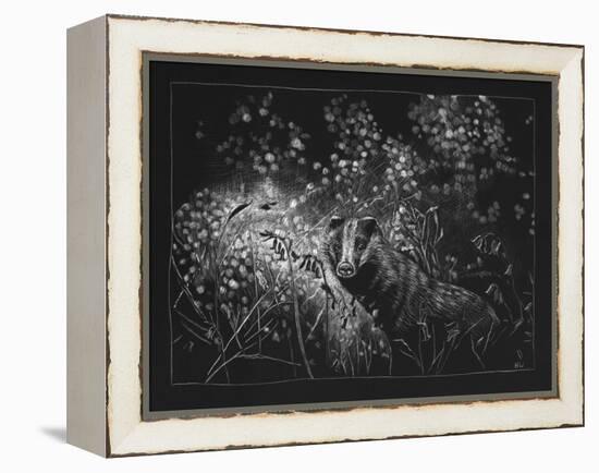 Spring Badger, 2023, (Etching)-Helen White-Framed Premier Image Canvas