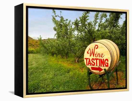 Spring Barrel Tasting, Lake Chelan, Washington, USA-Richard Duval-Framed Premier Image Canvas