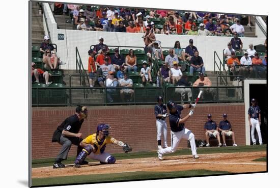 Spring Baseball Game, Auburn University-Carol Highsmith-Mounted Art Print