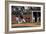 Spring Baseball Game, Auburn University-Carol Highsmith-Framed Art Print