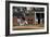 Spring Baseball Game, Auburn University-Carol Highsmith-Framed Art Print