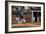 Spring Baseball Game, Auburn University-Carol Highsmith-Framed Art Print