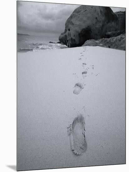 Spring Bay Beach, Virgin Gorda, Caribbean-Stuart Westmorland-Mounted Photographic Print